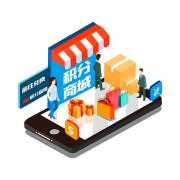 积分商城模式